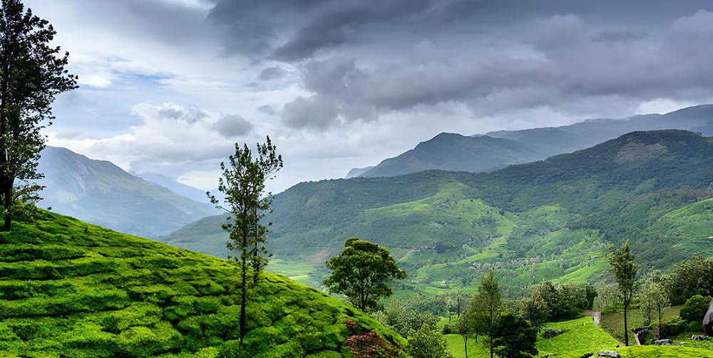 Best Places to visit at Wayanad