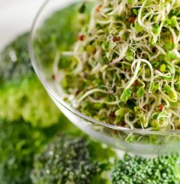 Delicious Sprouts Recipes