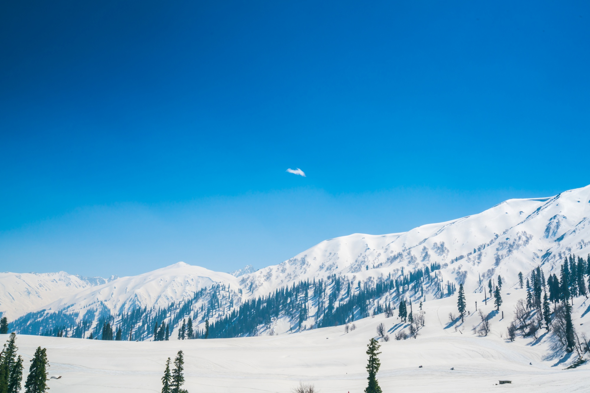 Best Time to Visit Kashmir