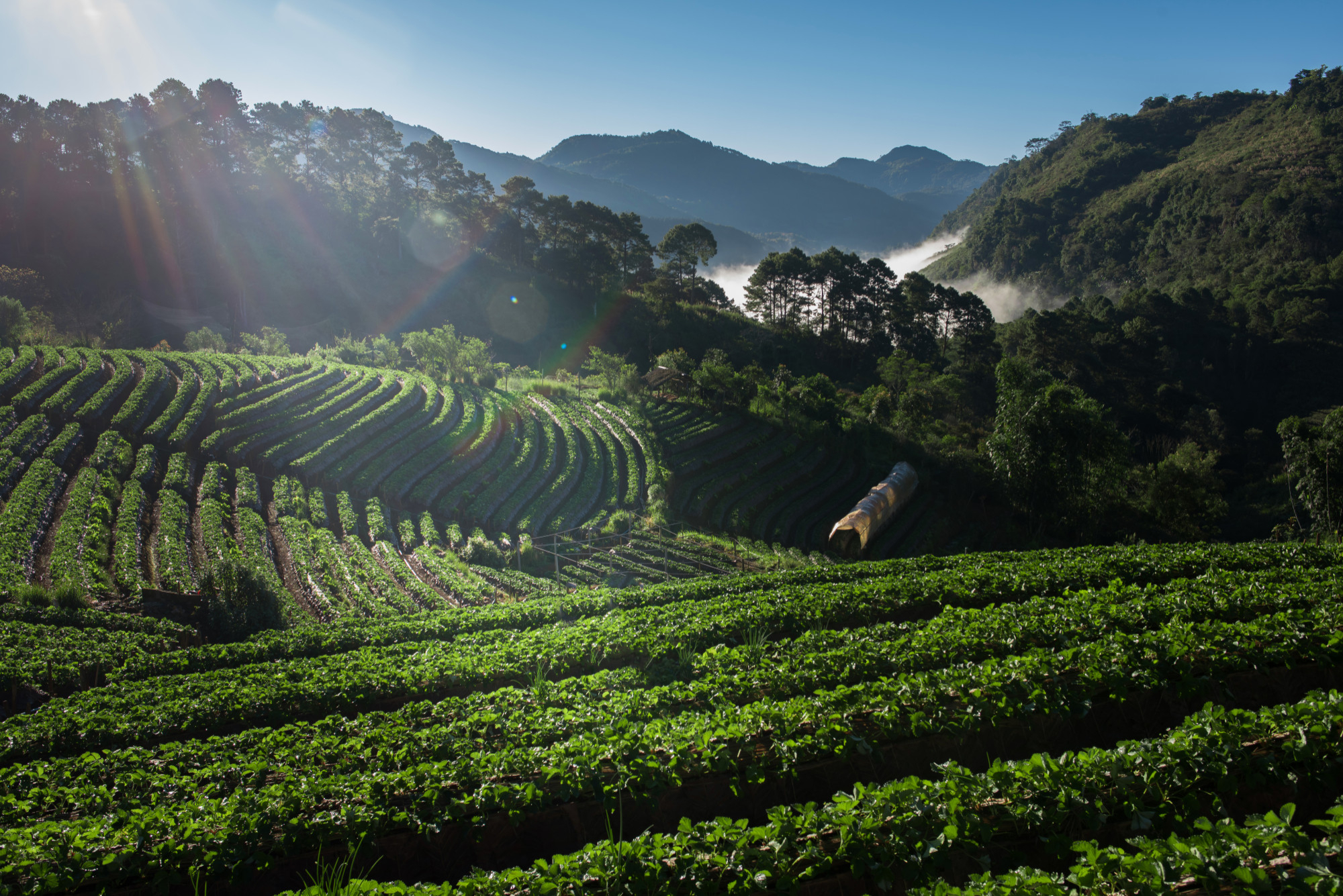 Best Time to Visit Ooty