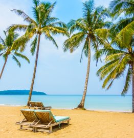 Top 10 Beaches in India You Must Visit