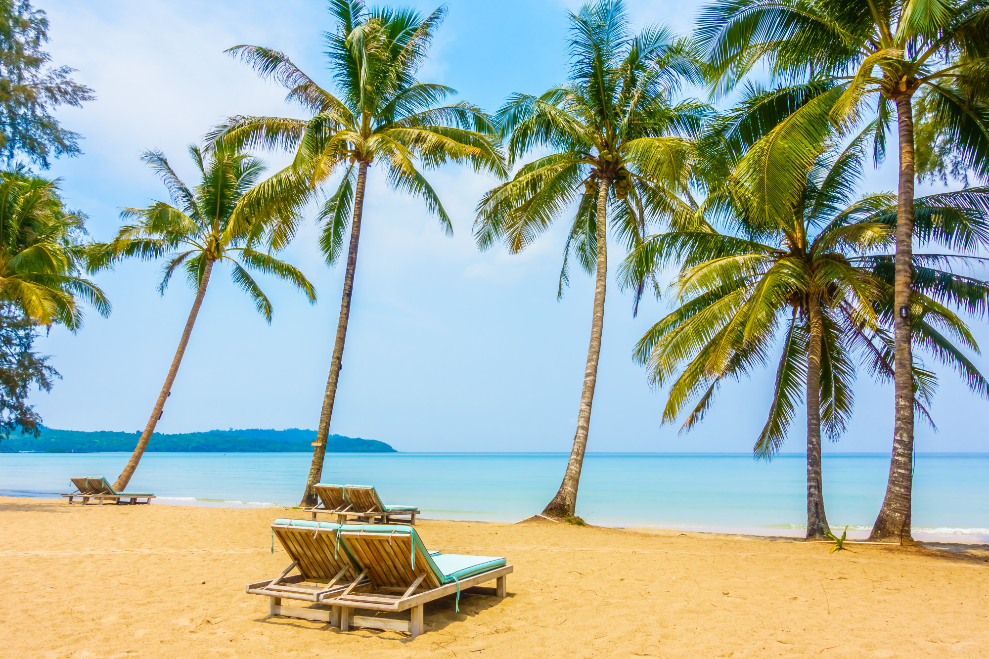 Top 10 Beaches in India You Must Visit