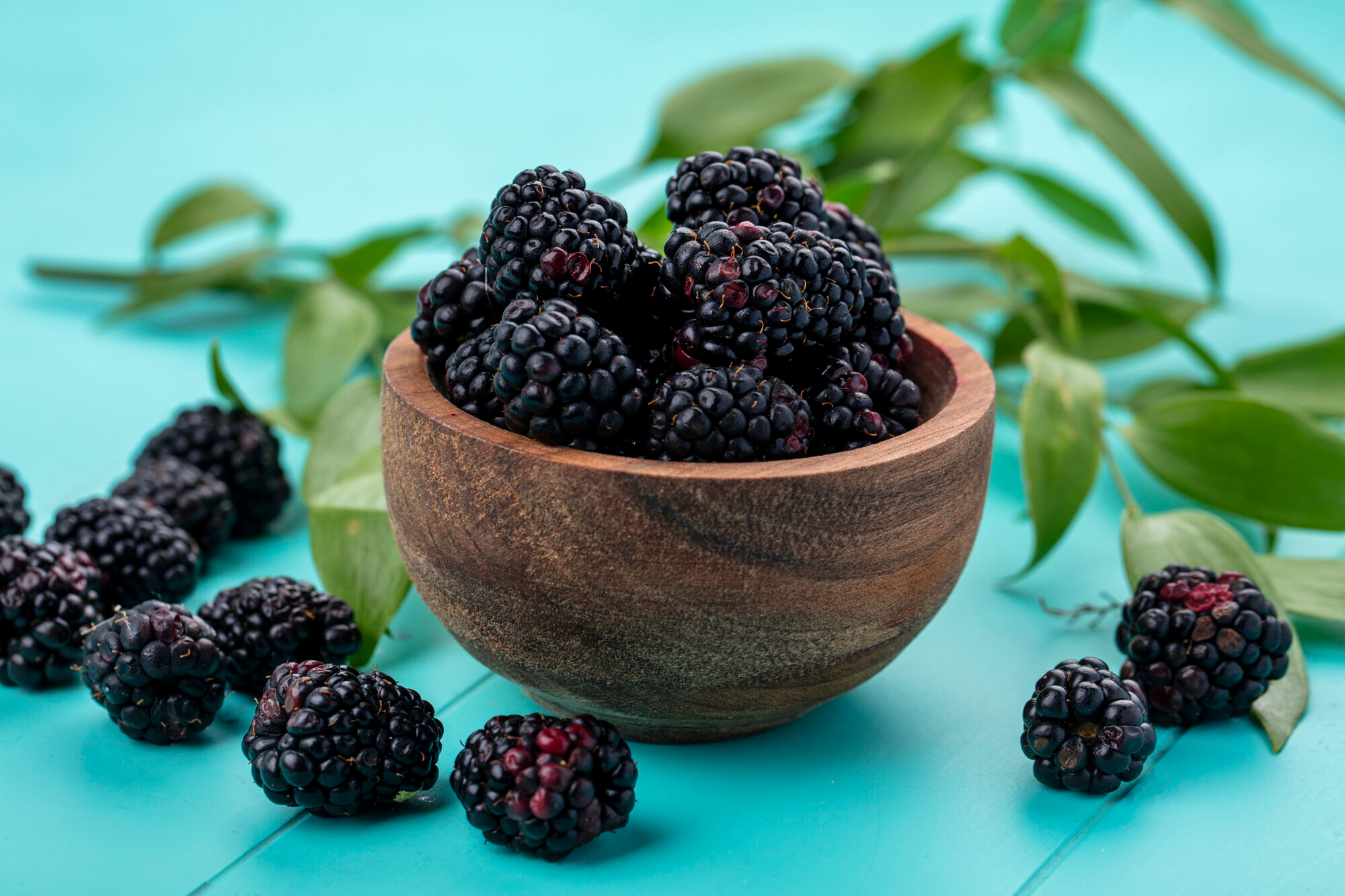 Blackberry Fruit