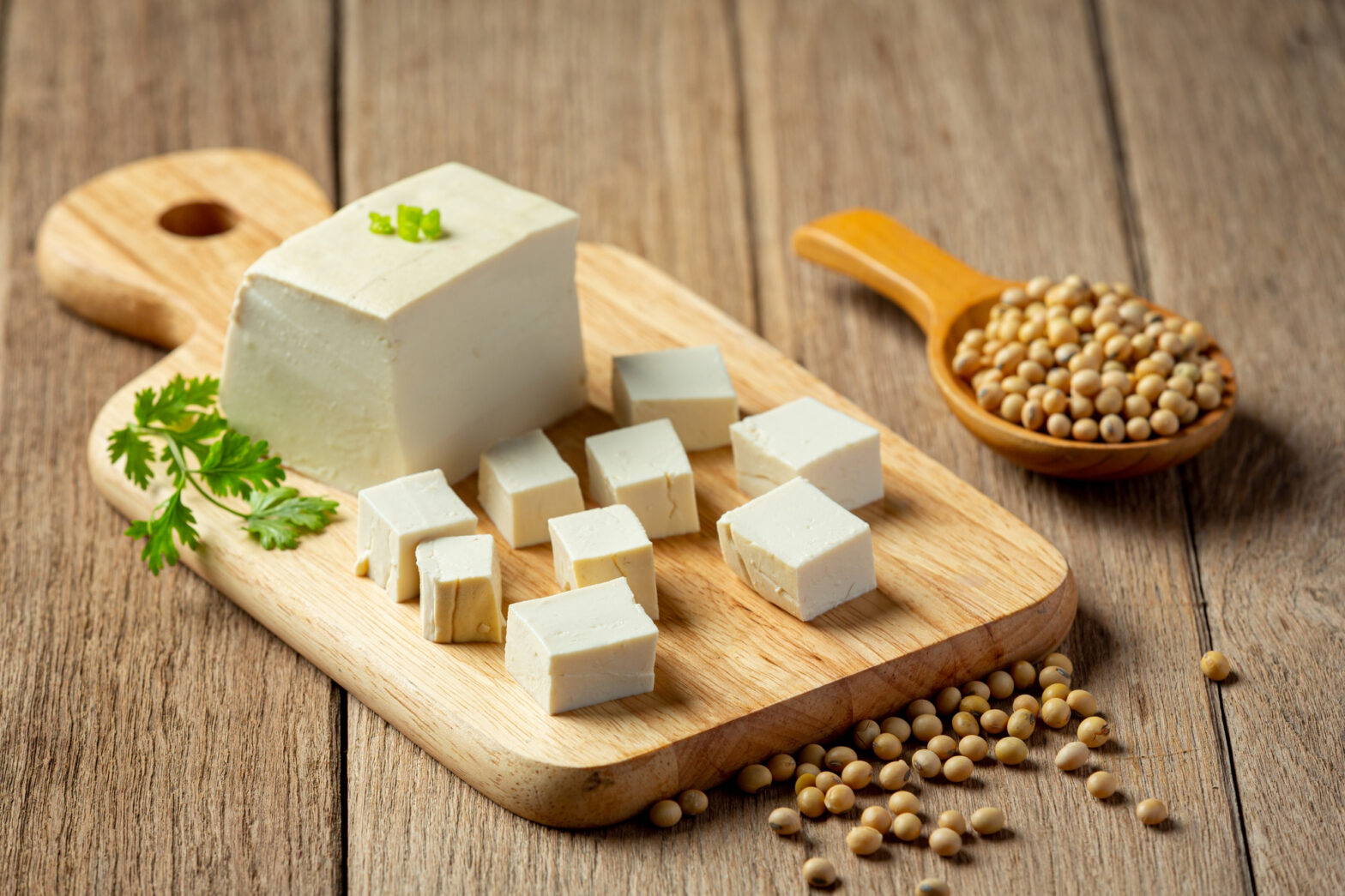Paneer Protein per 100g