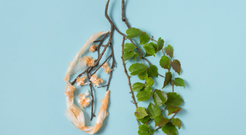 Healthy green leaves versus damaged brown leaves representing lung health and how to detox your lungs naturally.