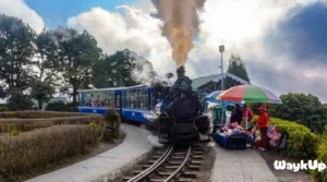 Darjeeling Himalayan Railway (Jalpaiguri to Darjeeling)