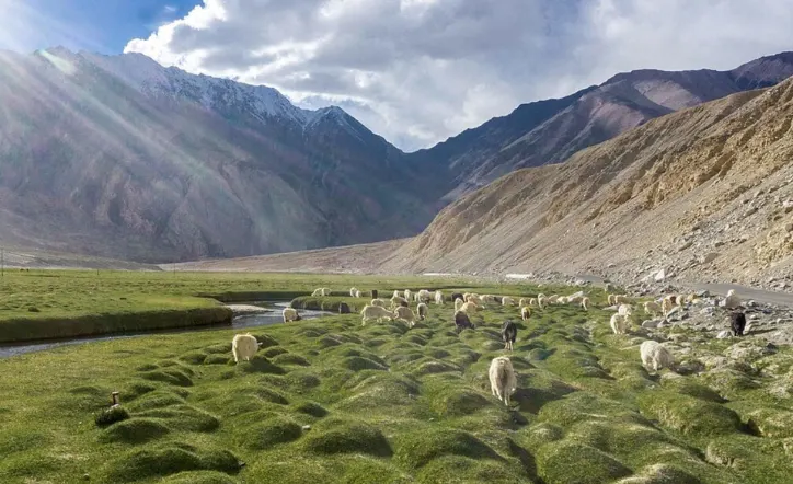 Nubra Valley