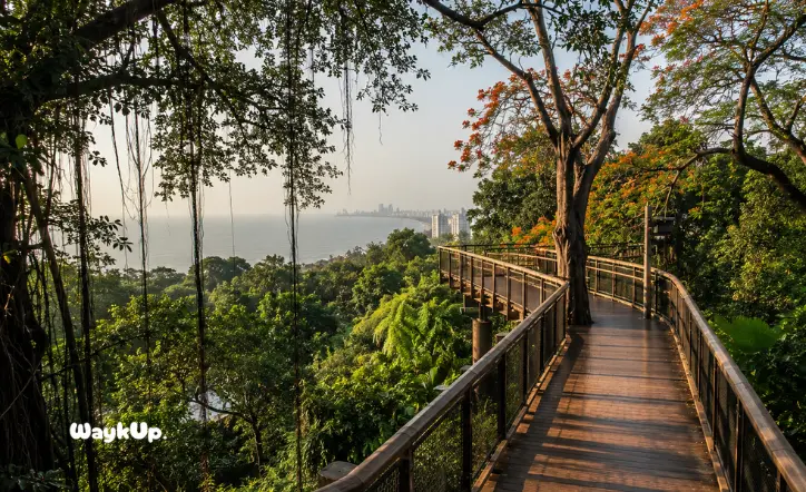 Malabar Hill Elevated Nature Trail treetop walkway with lush greenery in Mumbai